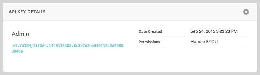 Screenshot - API Key Details