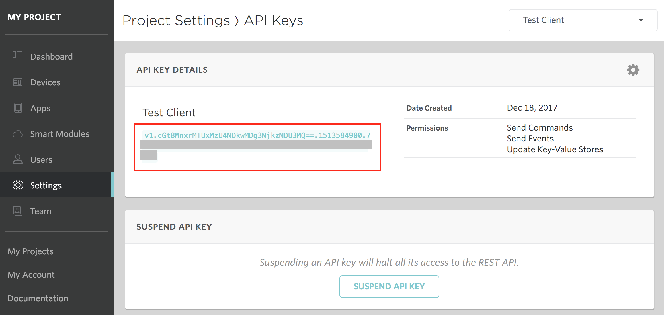Screenshot - Project API Key Details